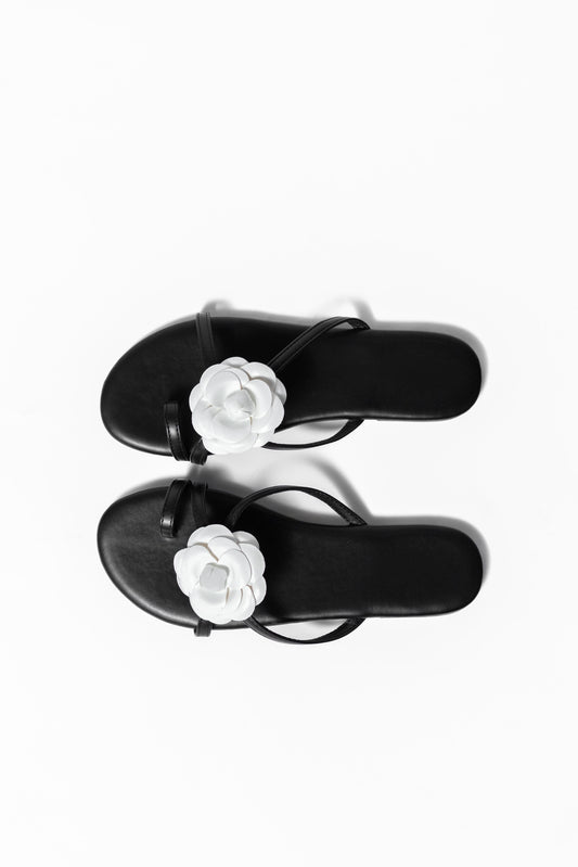 Sandalias Mónaco Negro 0831
